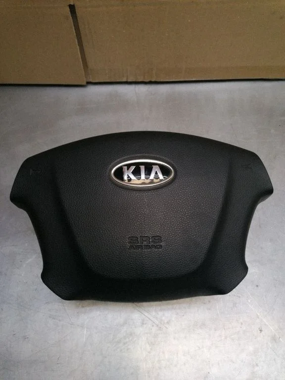 Steering wheel airbag 569001D110