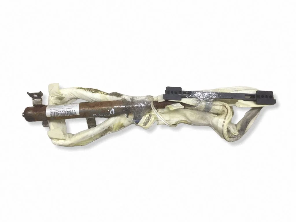 Roof airbag 5ZXAYX4124056J