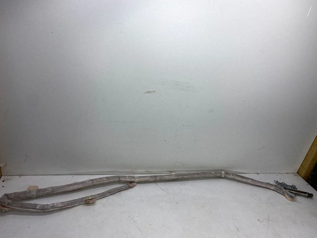 Roof airbag 8E5880742