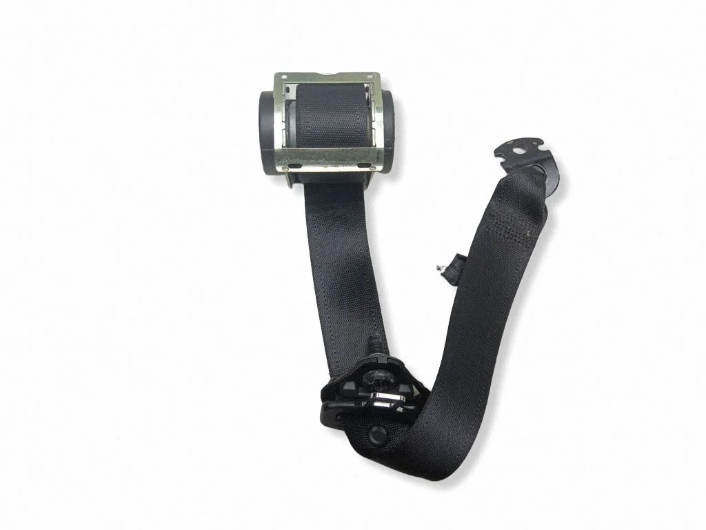Rear seatbelt 13251319