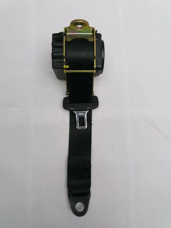 Rear seatbelt C481