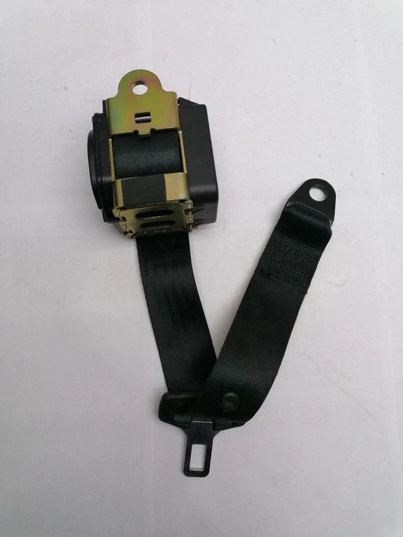 Middle seatbelt (rear) C481
