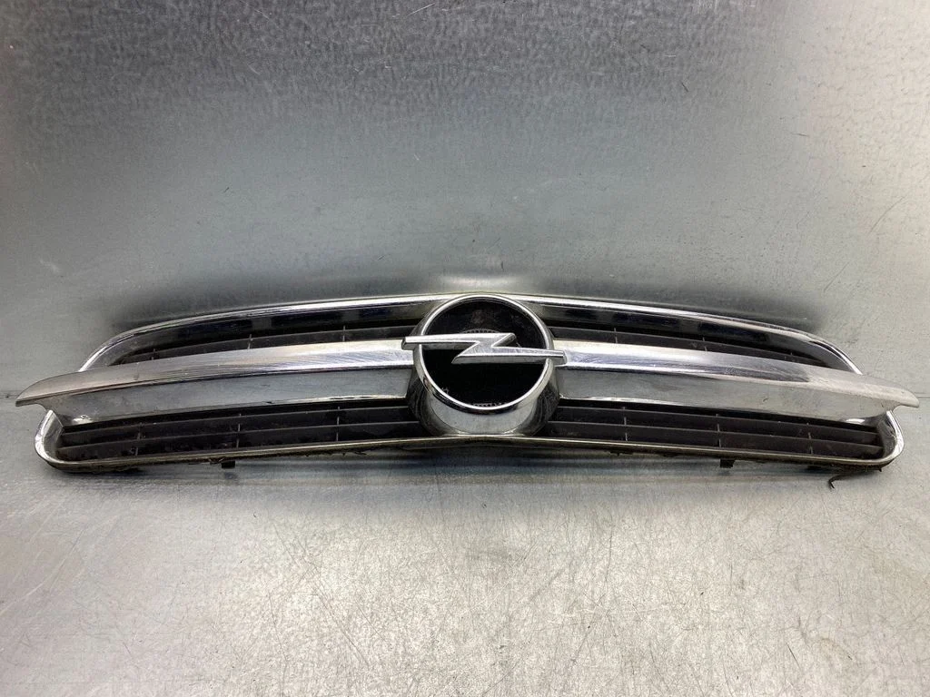 Front grill 13106812