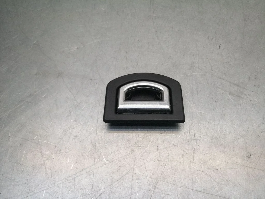 Muu salongiosa 1J0864203
