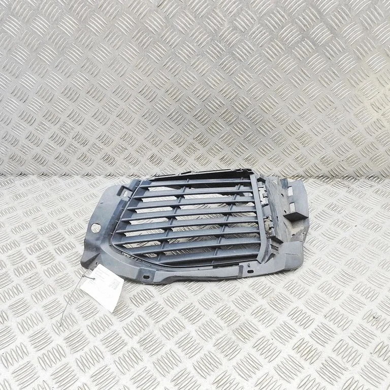 Atrapa przednia (grill) 9810870377
