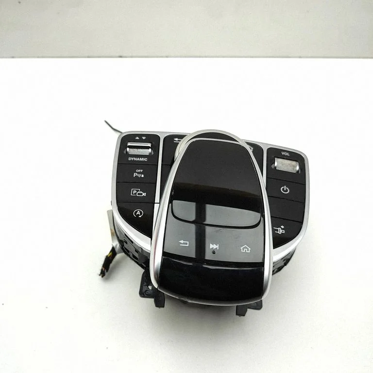 Head unit multimedia control A2059054006