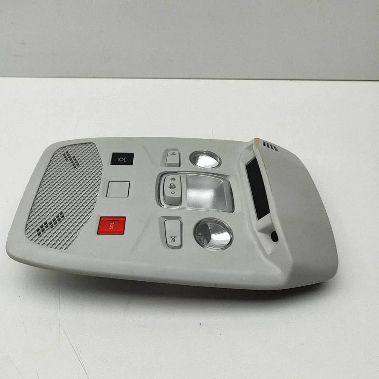 Priekšējo sēdvietu apgaismojuma lukturis 98456740ZD