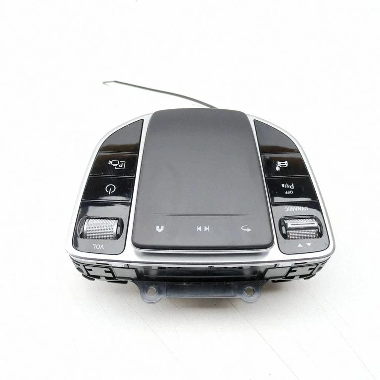 Multimeedia juhtplokk A2939054500