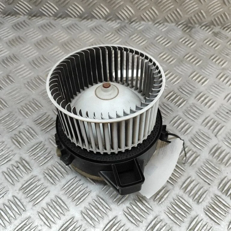 Krāsniņas ventilators/pūtējs F011500123