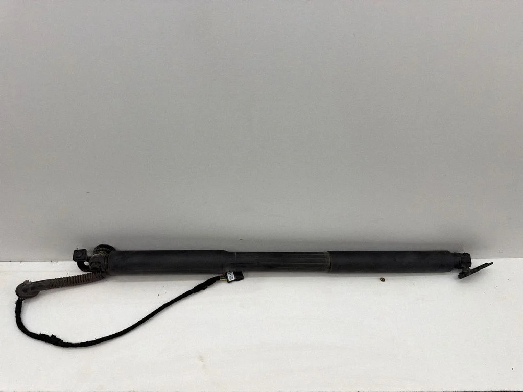 Tailgate/trunk strut/damper 7263155
