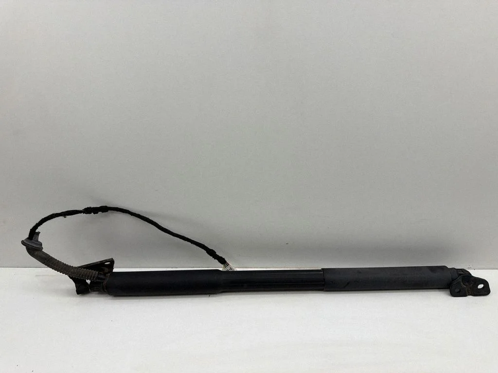 Tailgate/trunk strut/damper 7263156