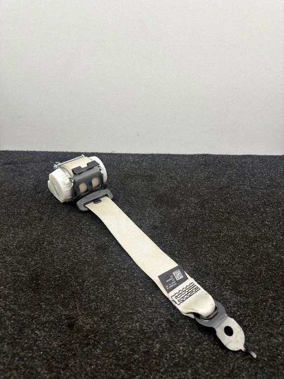 Rear seatbelt 7289349
