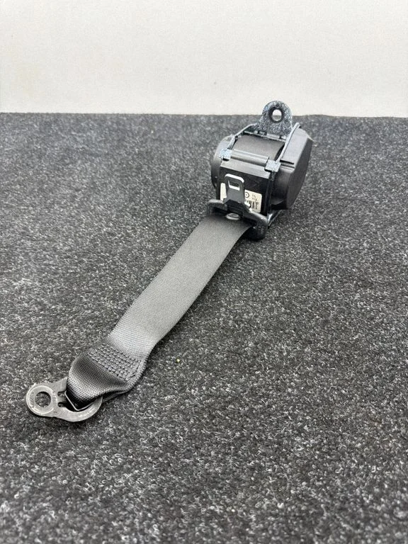 Rear seatbelt 7243309