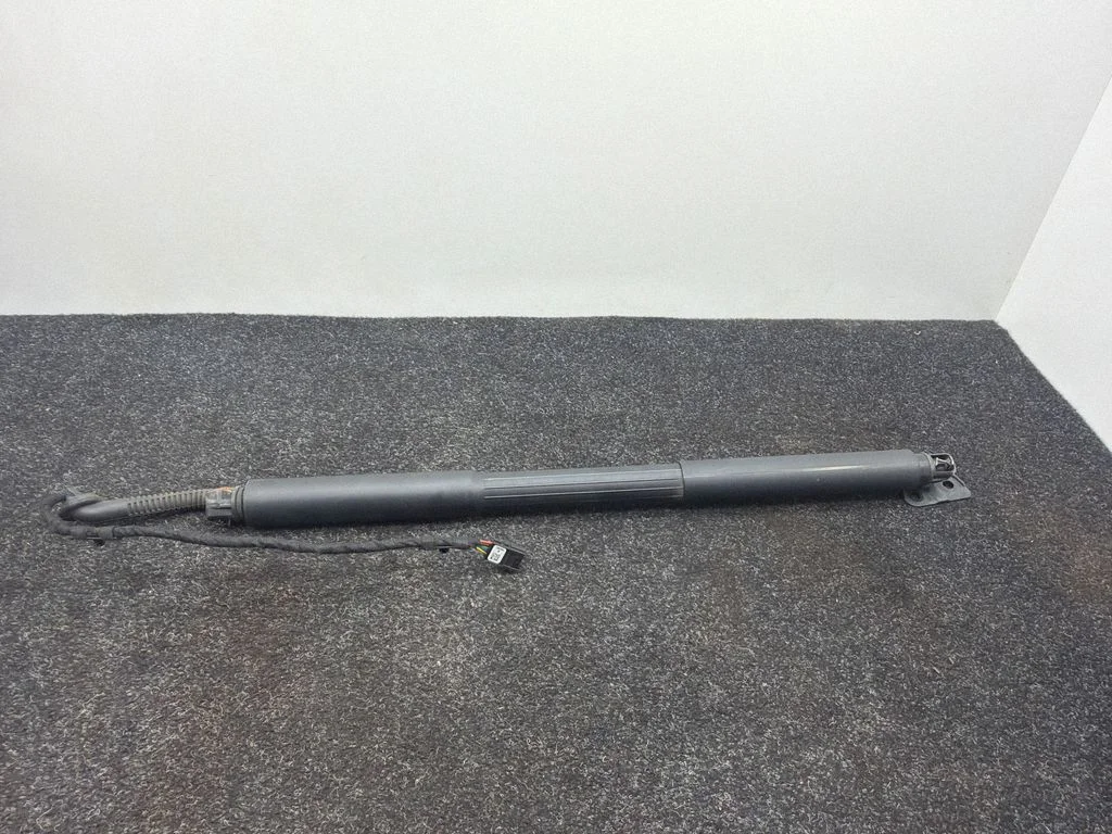 Tailgate/trunk strut/damper 7263155