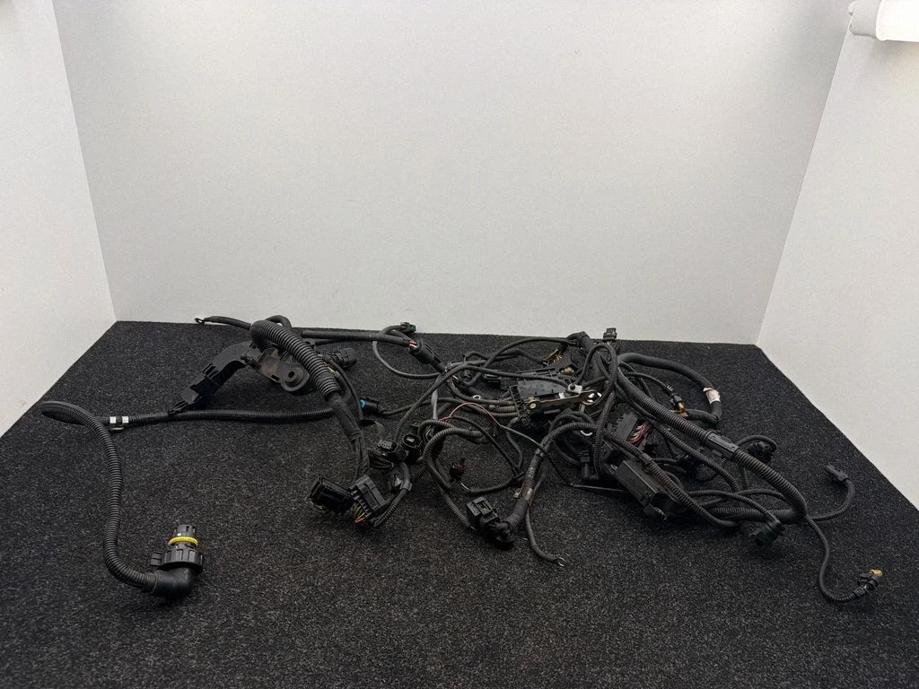 Engine installation wiring loom 7599380