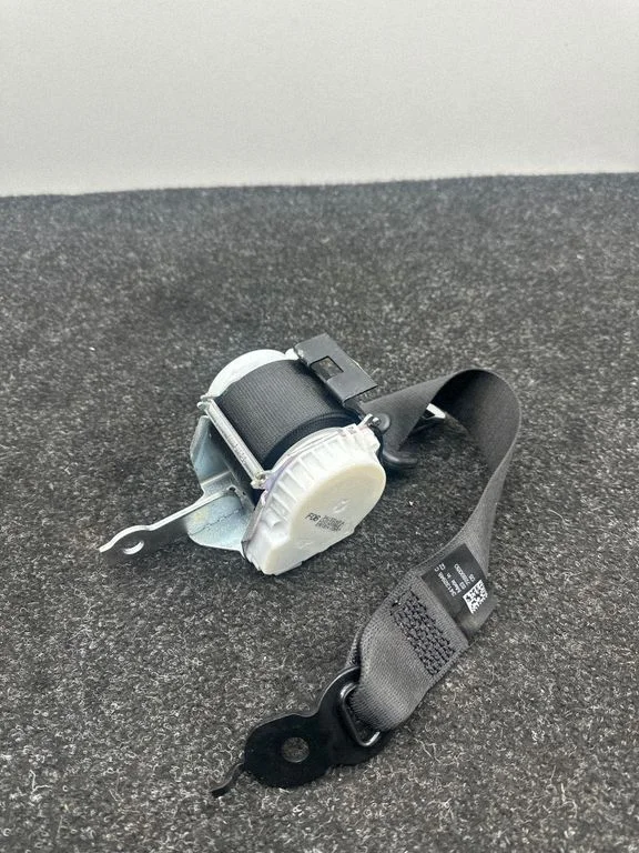 Rear seatbelt 7289350