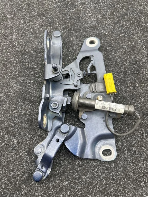 Engine bonnet/hood hinges 7249887