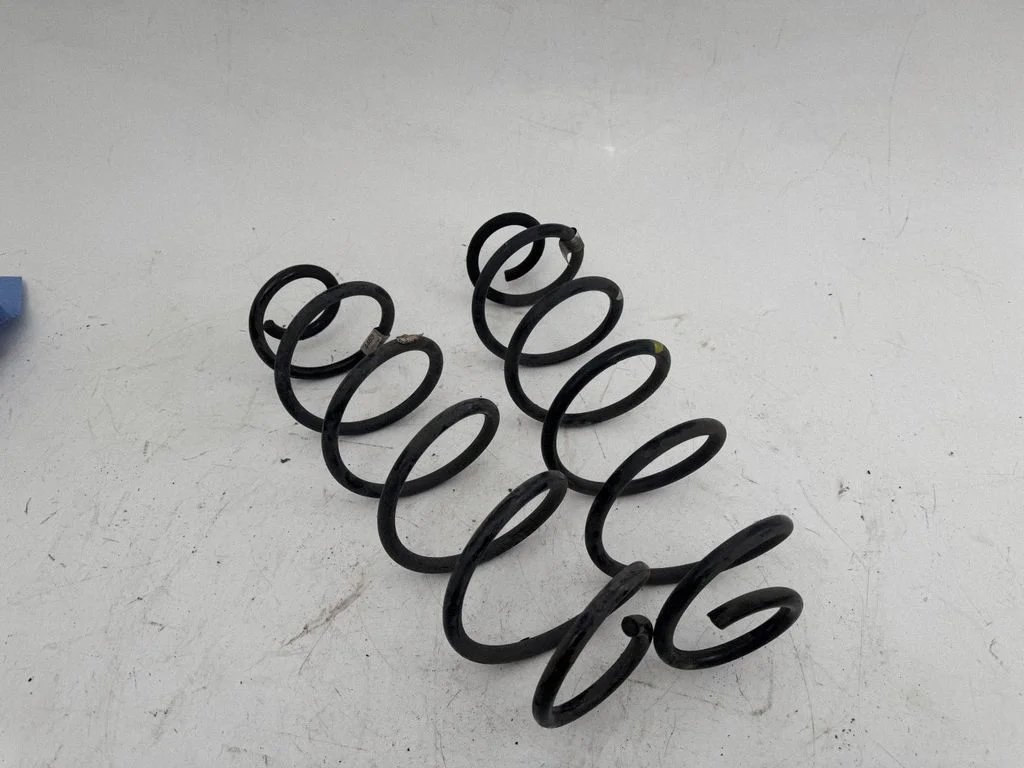 Rear coil spring 9839448380