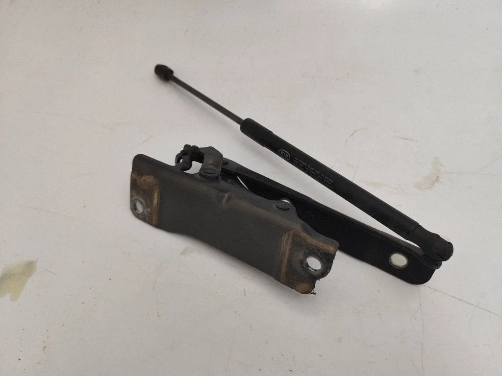 Engine bonnet/hood hinges 81161D5000