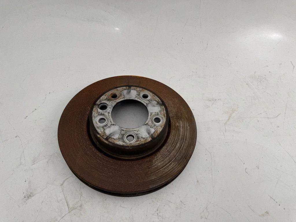 Front brake disc JZW698302DF