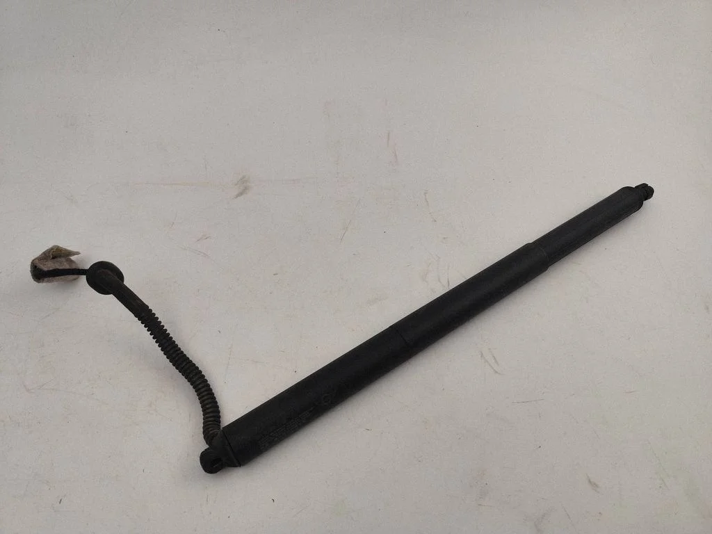 Tailgate/trunk strut/damper 17893910