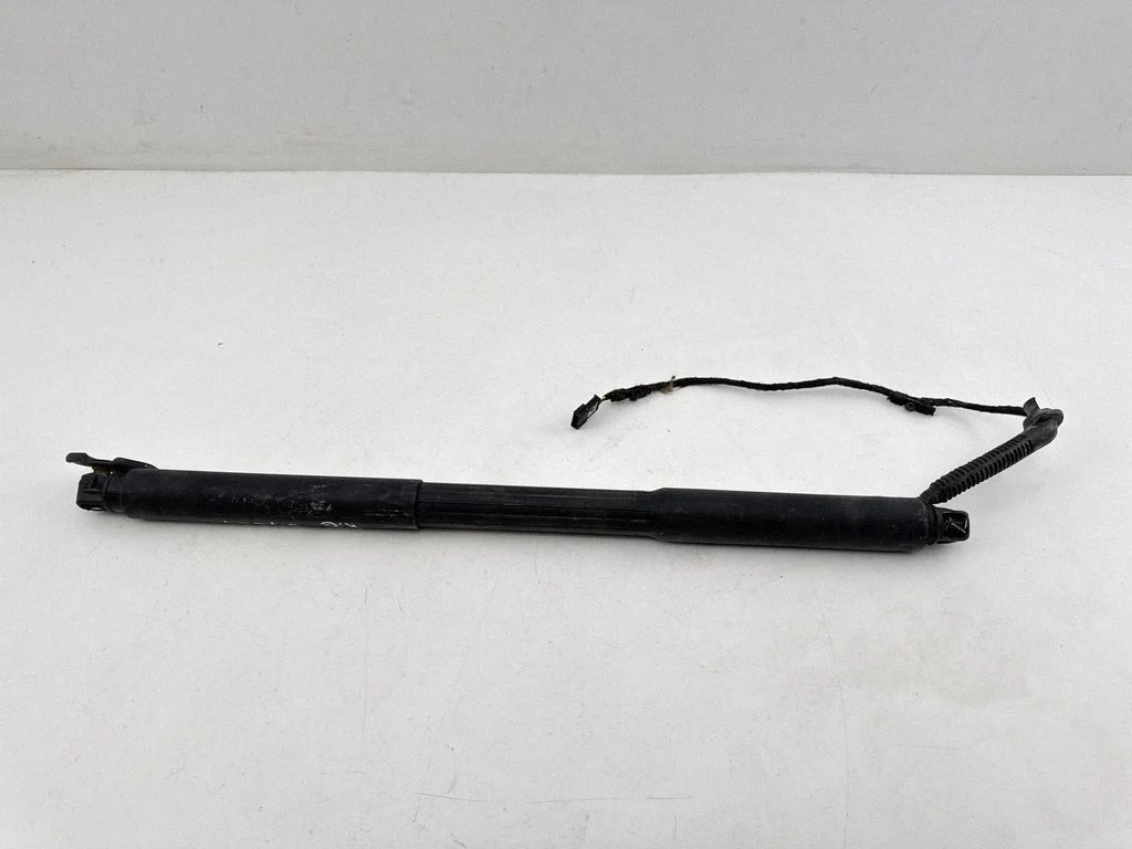Tailgate/trunk strut/damper 7286295