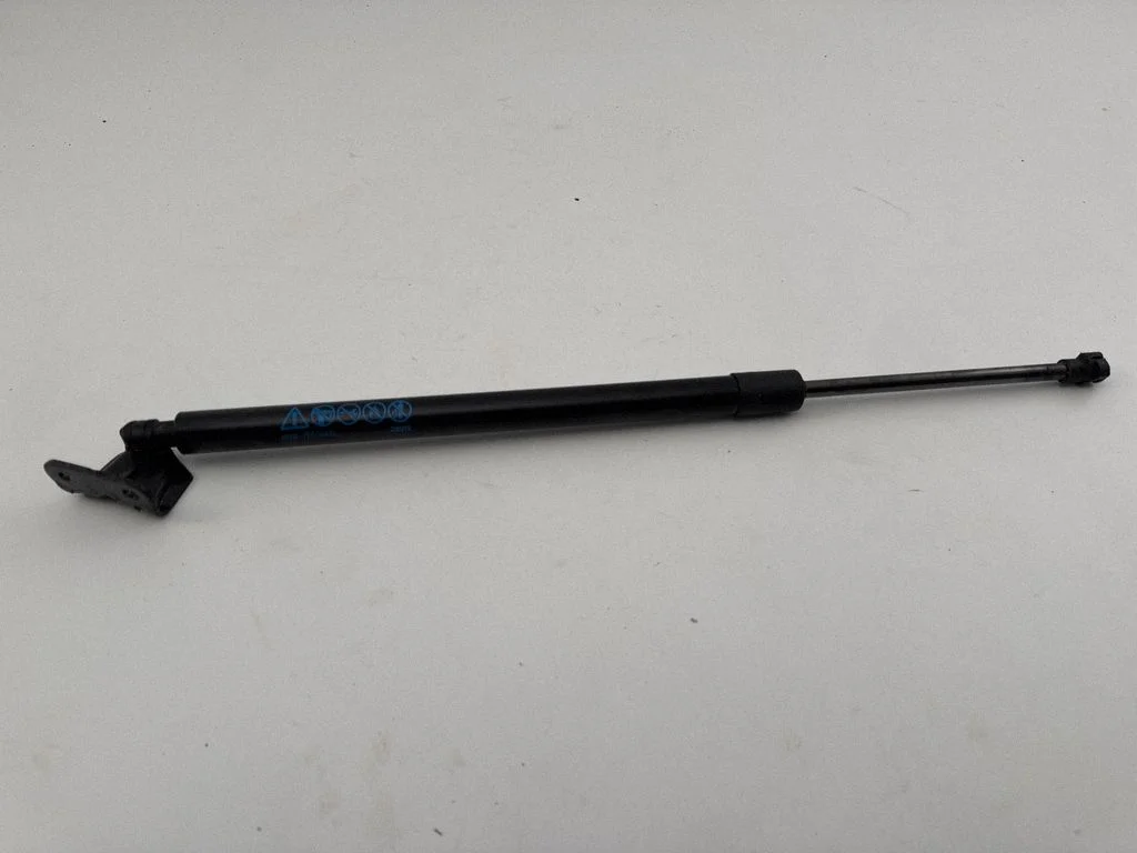 Tailgate/trunk strut/damper DN4E62620R