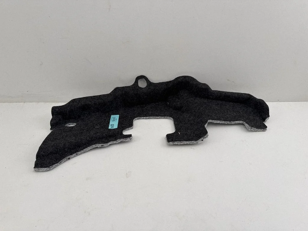 Front floor carpet liner 101900114