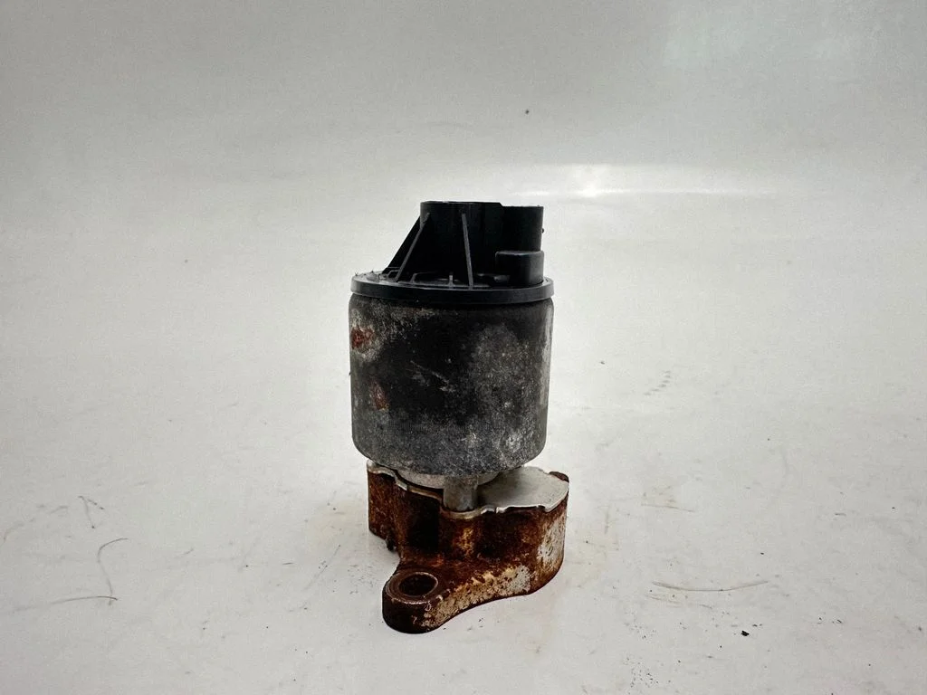 EGR-klapp 9521705262A