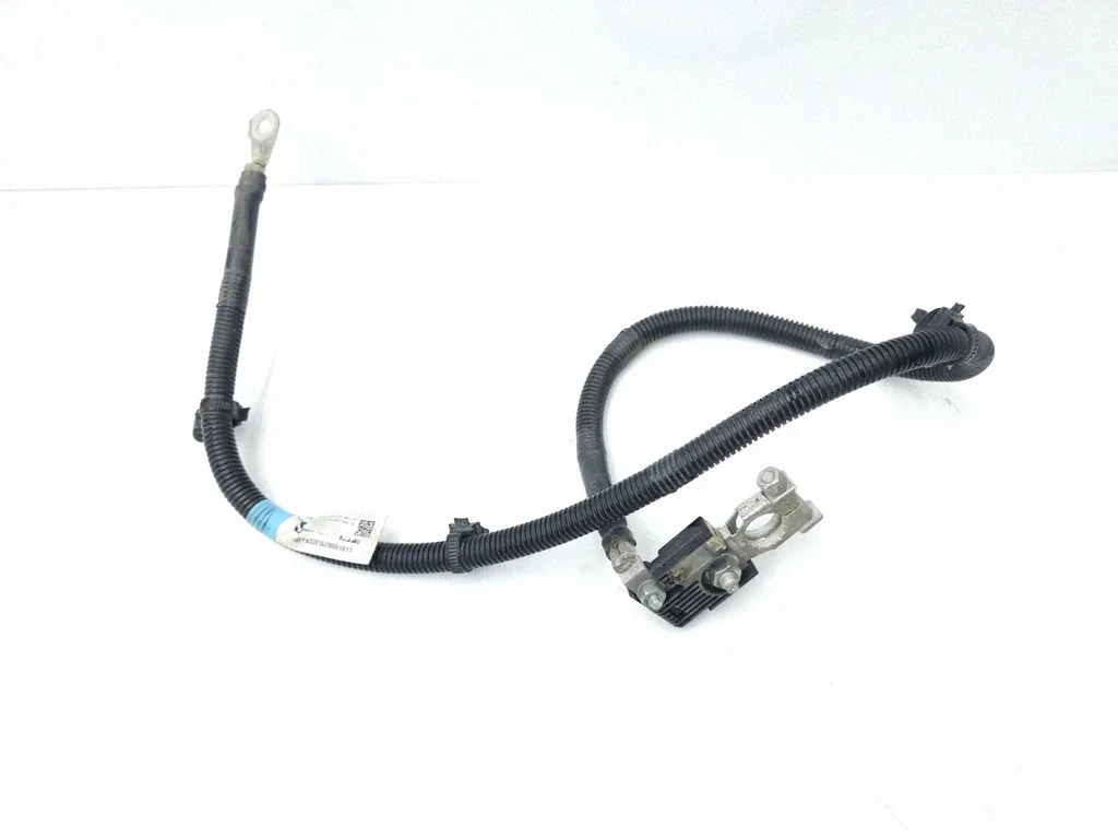 Negative earth cable (battery) 103227480P