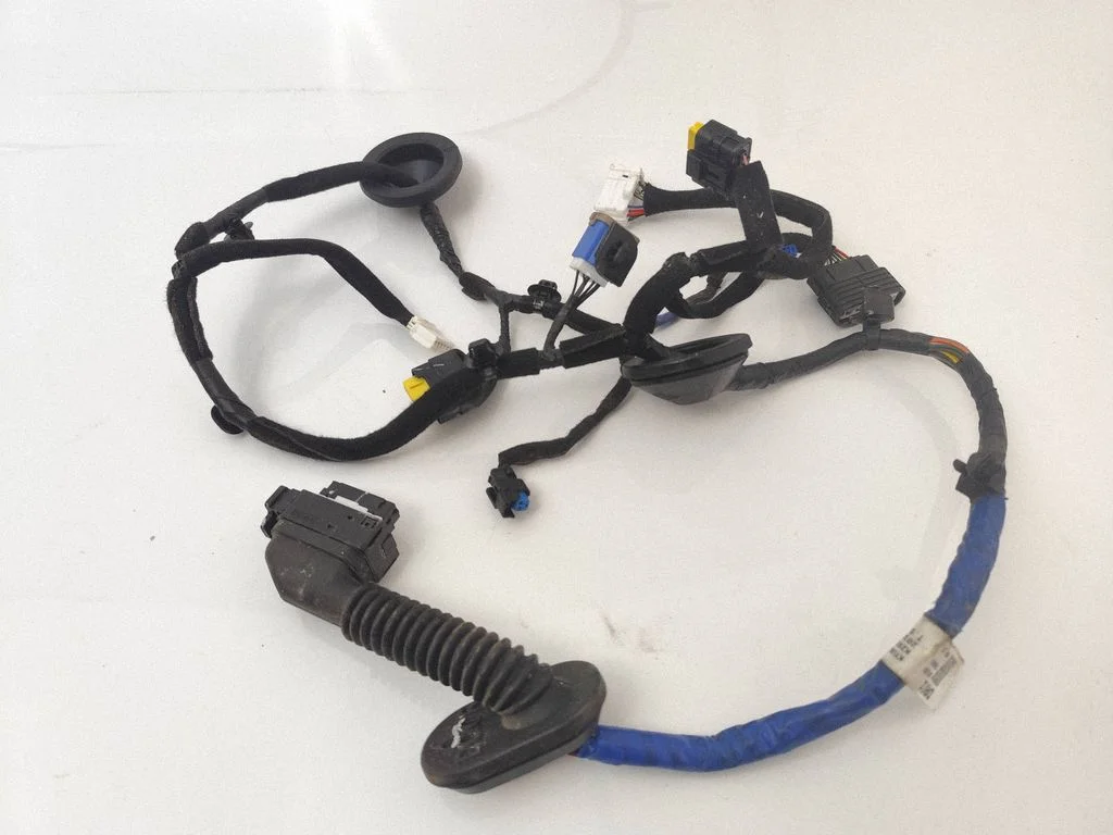Rear door wiring loom 91630T6010