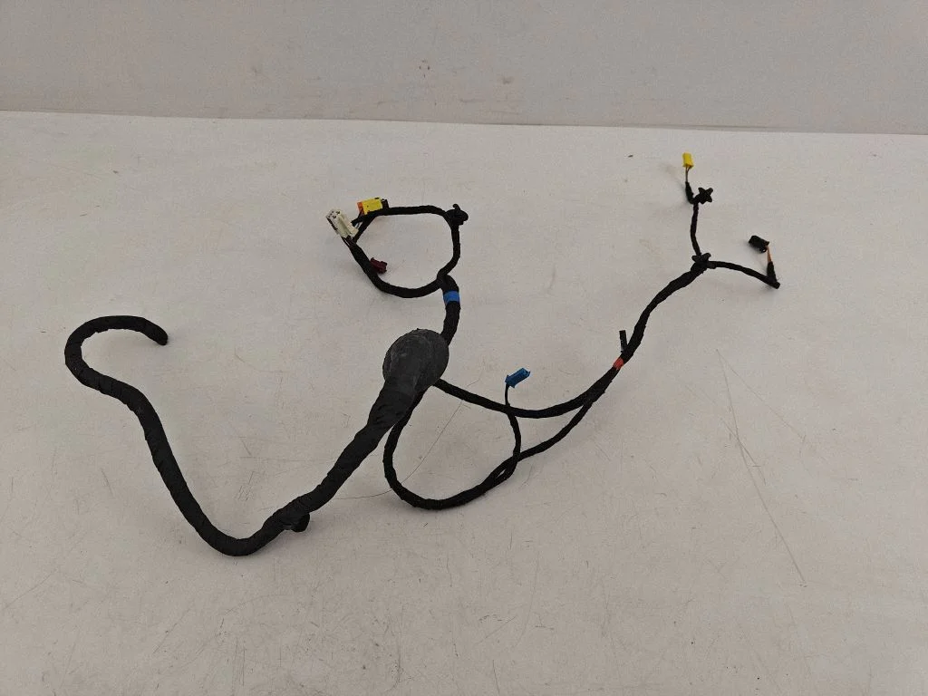 Rear door wiring loom A2319980301