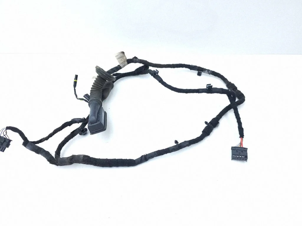 Wiązka drzwi tylnych 8718246