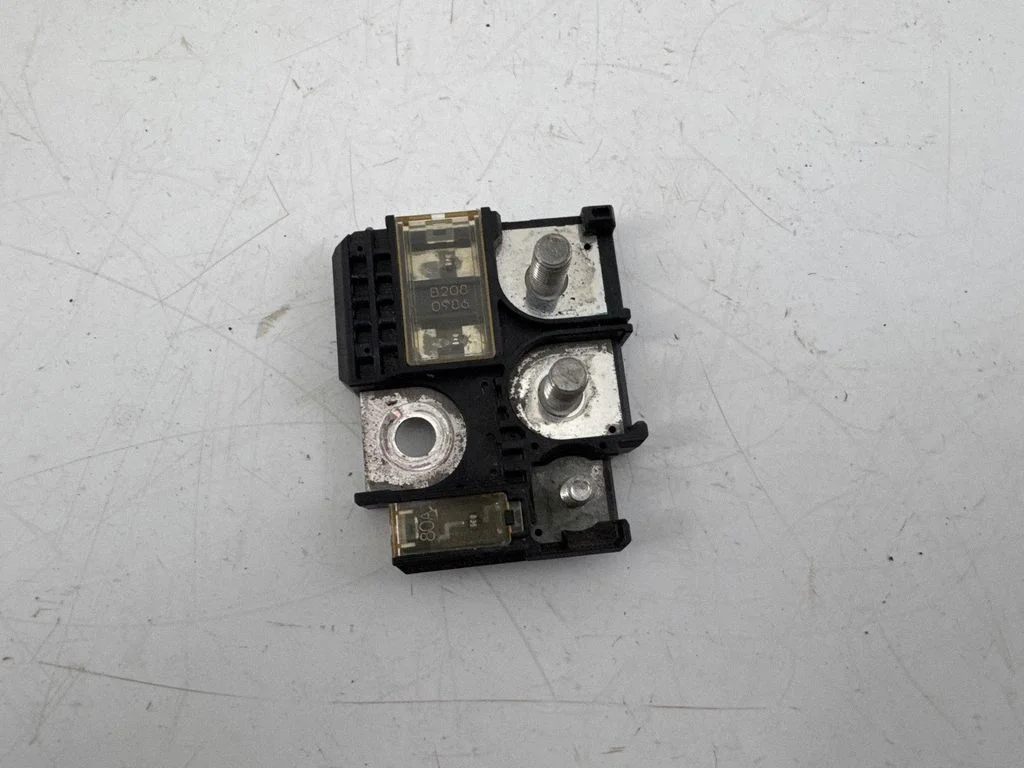Positive wiring loom B2080986