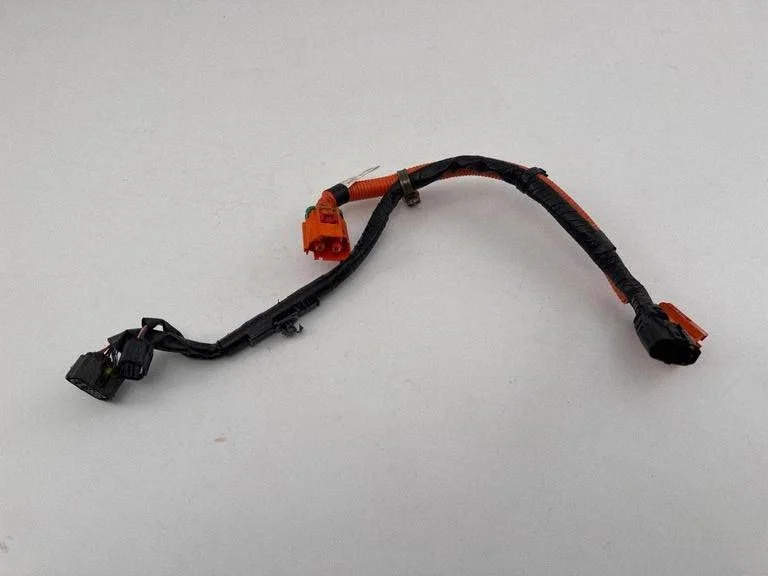 Positive wiring loom DN4J67W10A