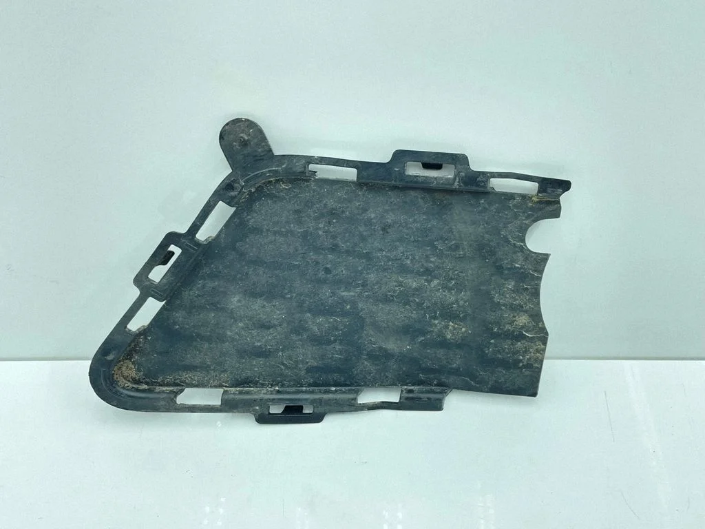 Front grill 8062635