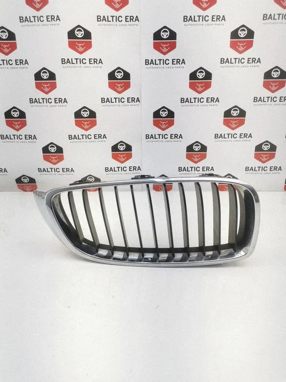 Atrapa przednia (grill) 7294814