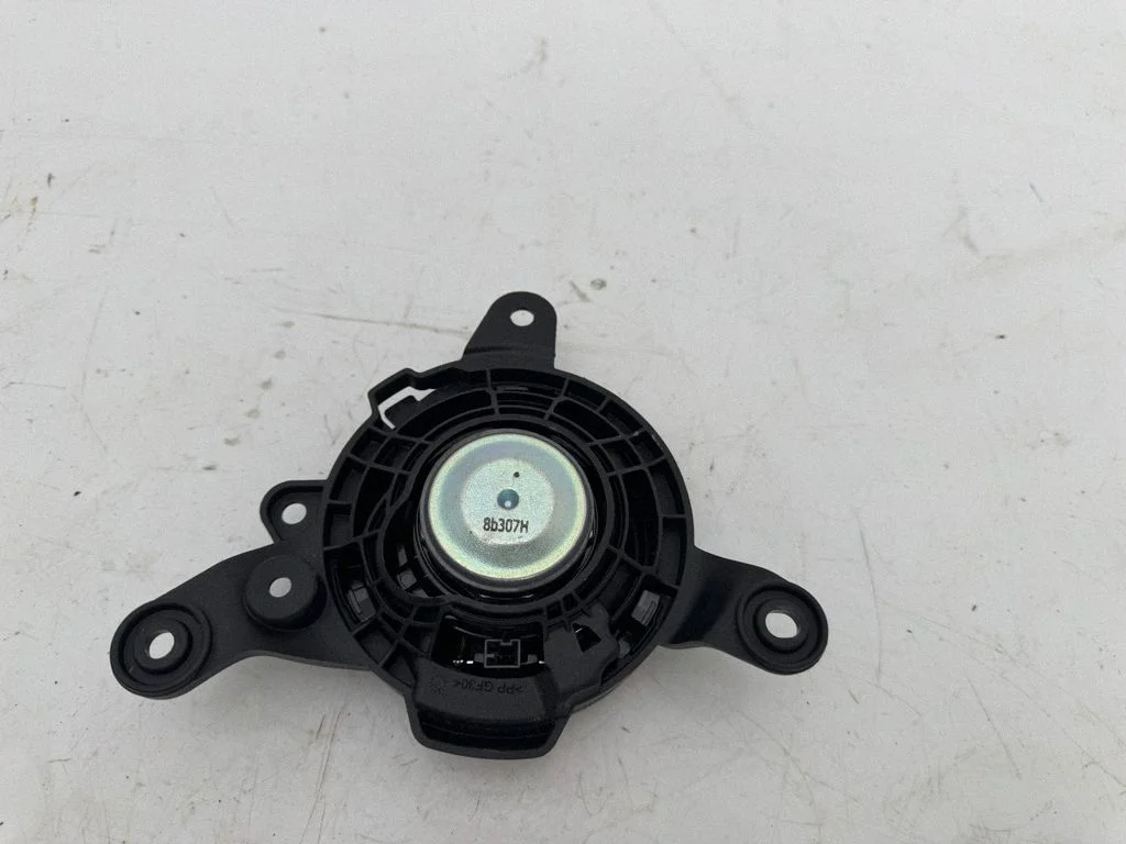 Front door high frequency speaker 86307H