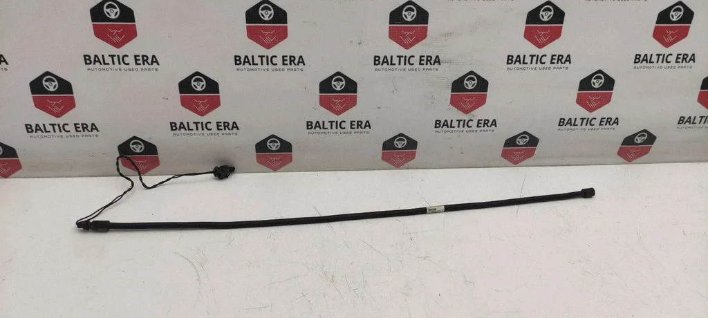 Bagažinės dangčio daviklis