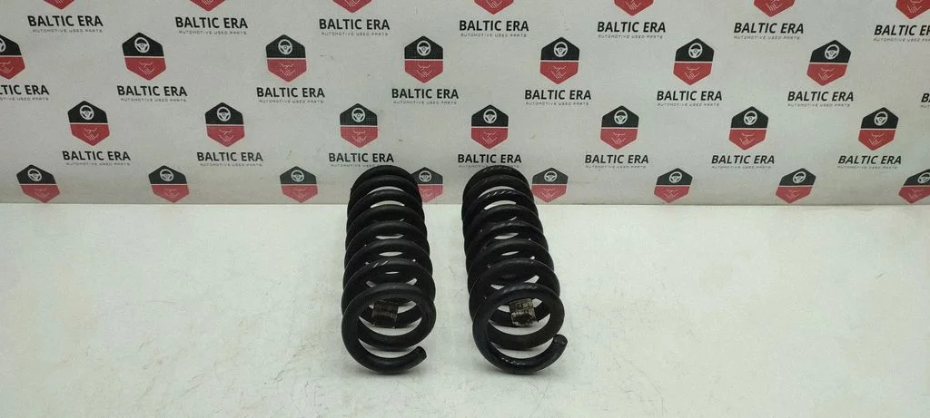 Rear coil spring