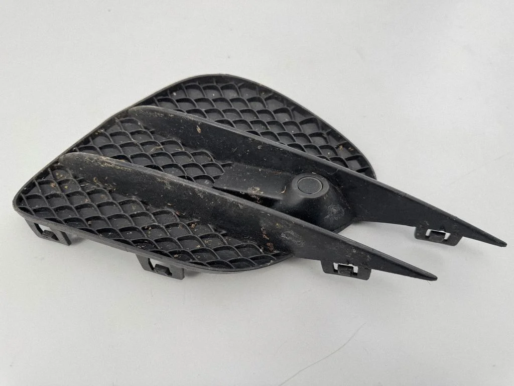 Front bumper lower grill A2538853600