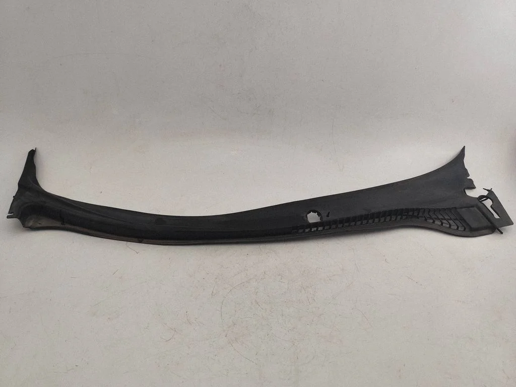 Wiper trim 15822873