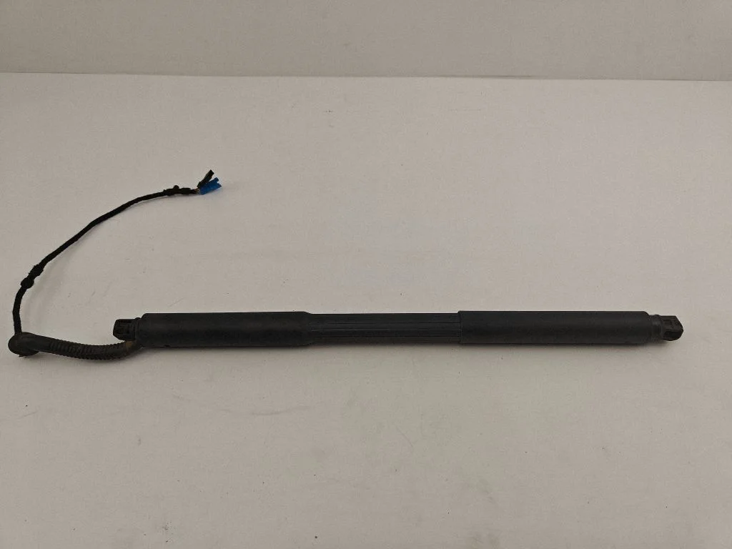 Tailgate/trunk strut/damper 7432373