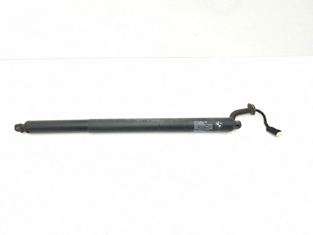 Tailgate/trunk strut/damper 7348523