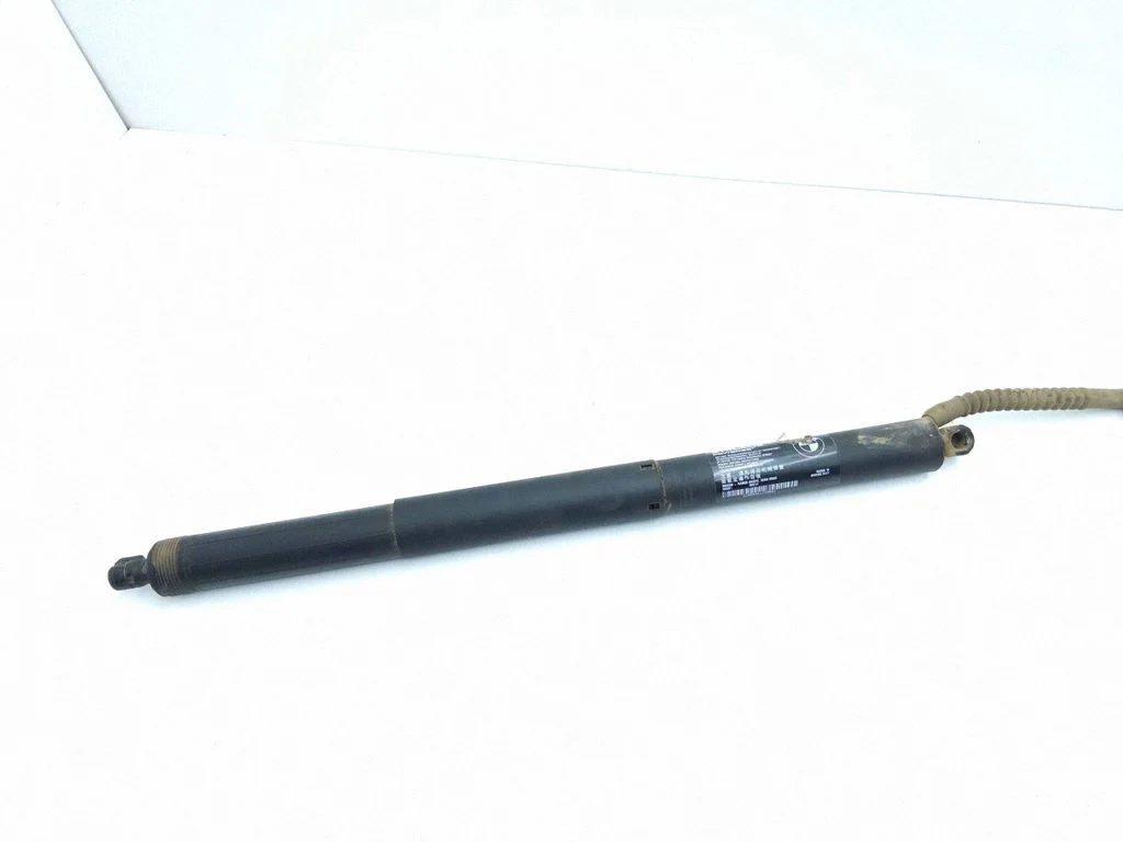 Tailgate/trunk strut/damper 669923