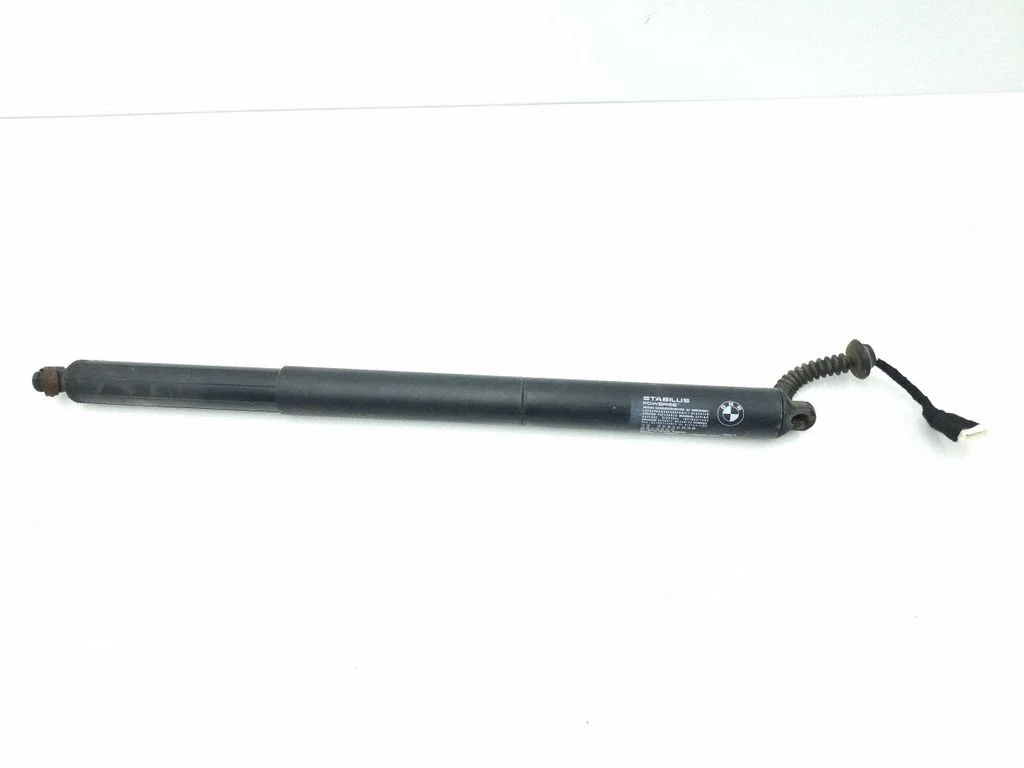Tailgate/trunk strut/damper 7348523