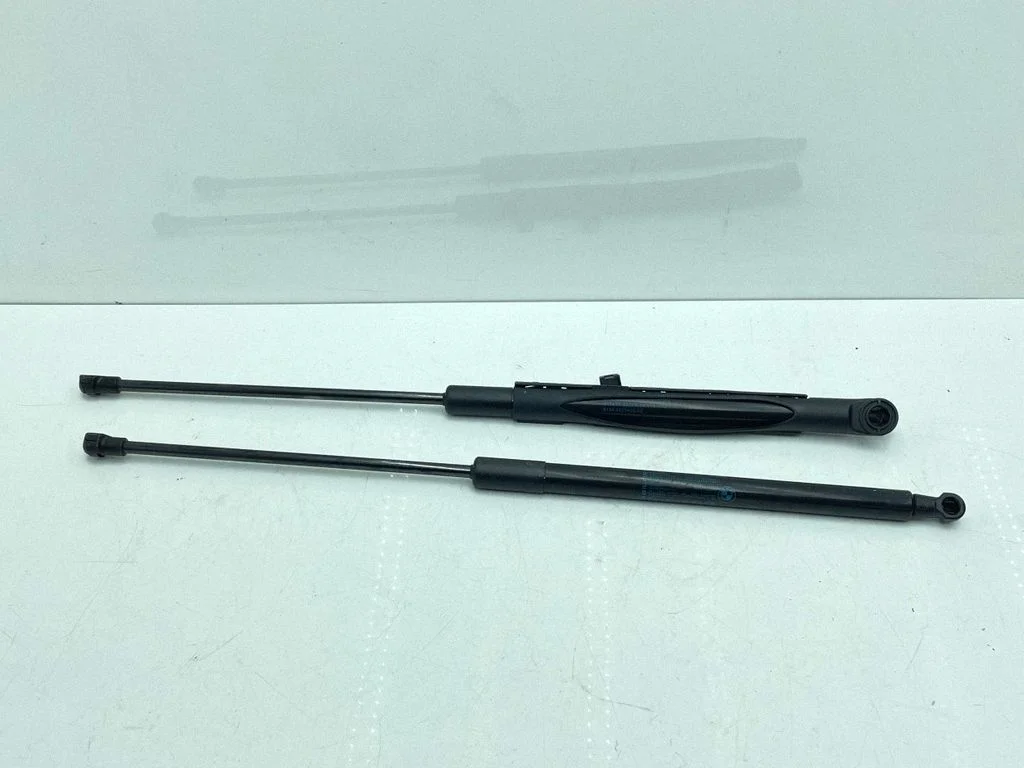 Tagaluugi gaasiamortisaator – BMW 4-seeria F32 F33 (2013-2020)