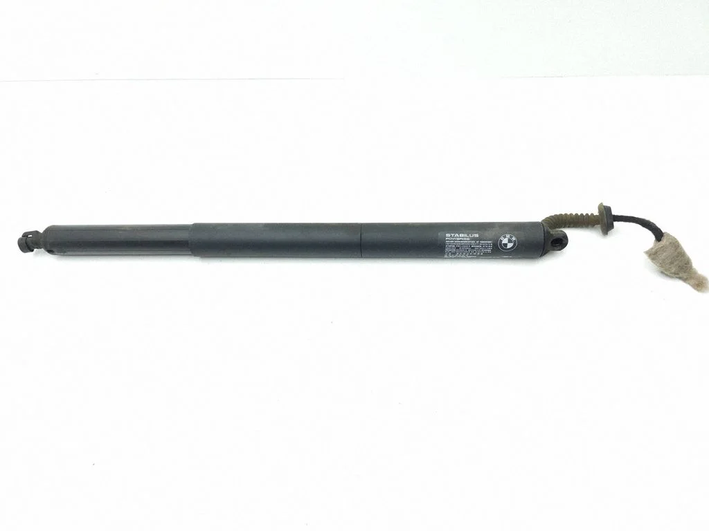 Tailgate/trunk strut/damper 9482755