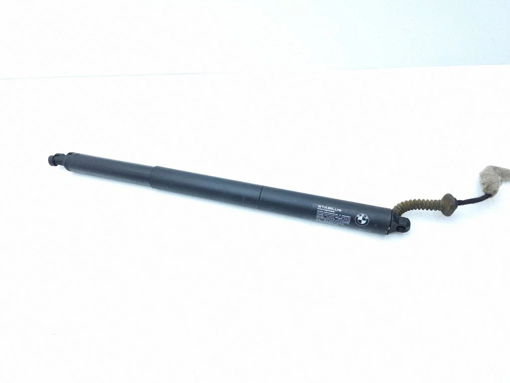 Tailgate/trunk strut/damper 9482755