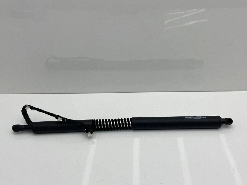 Tailgate/trunk strut/damper 7298983